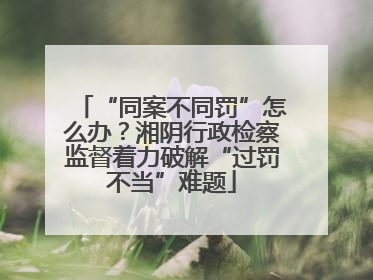 “同案不同罚”怎么办？湘阴行政检察监督着力破解“过罚不当”难题